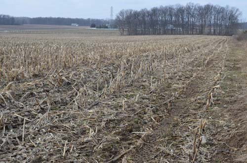 Property photo 1 - 98+/- Acres Offered in 6 Tracts or Combinations, Noble County, Indiana Farm